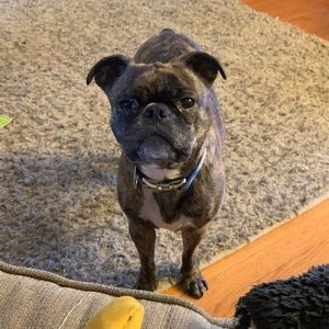 Meet your Posher, Erica